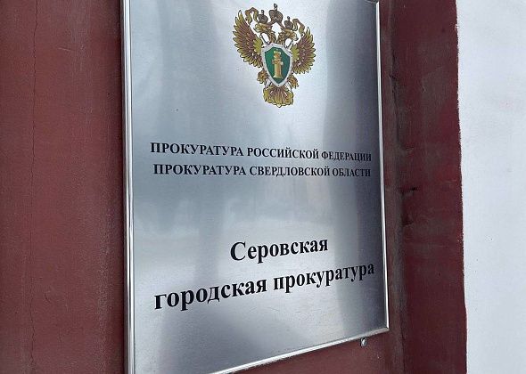 Прокуратура начала проверку из-за нападения собаки на ребенка в Серове