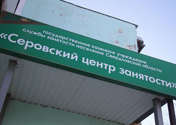 Плотник, учитель, полицейский. Вакансии из свежей подборки Серовского центра занятости