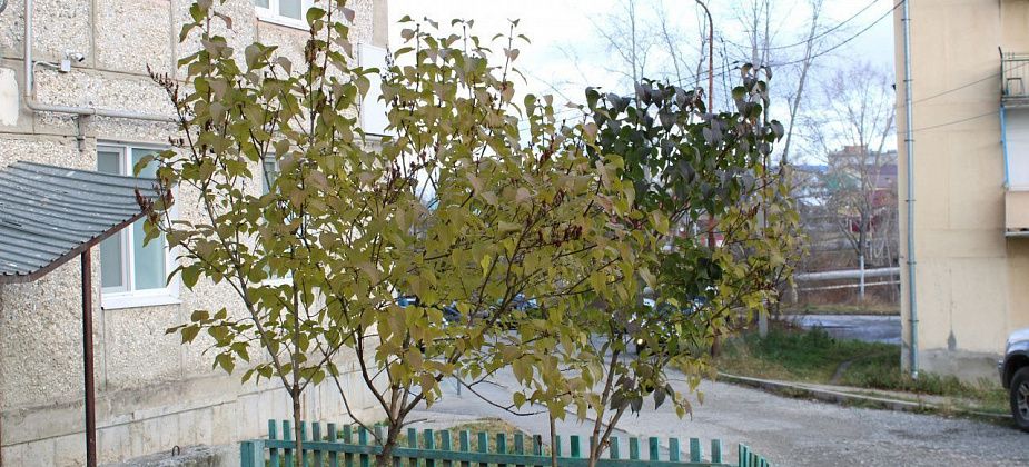 Приметы на 25 октября. Наблюдаем за звездами, не обижаем людей и животных
