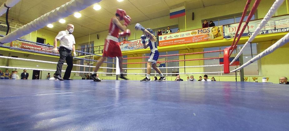16 серовчан заняли призовые места на боксерском турнире "Кубок Константина Цзю"