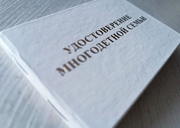 Жительницу Серовского района наградят за рождение 10 детей