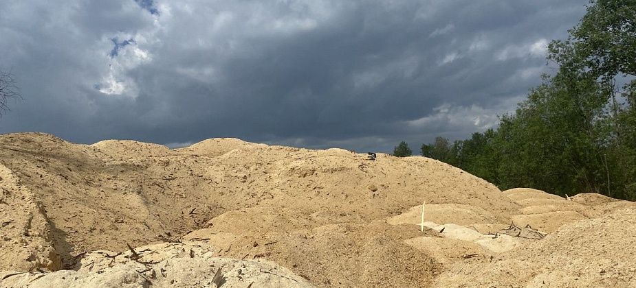 Мэрию Серова оштрафовали на 310 тысяч рублей за свалку горбыля в районе реки и железнодорожного моста