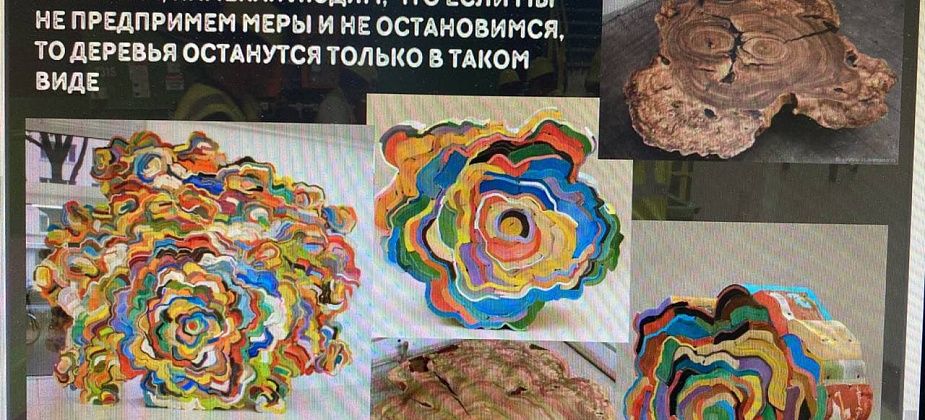 Сдавайте пластиковые крышечки! Серовчане могут принять участие в создании экологического арт-объекта