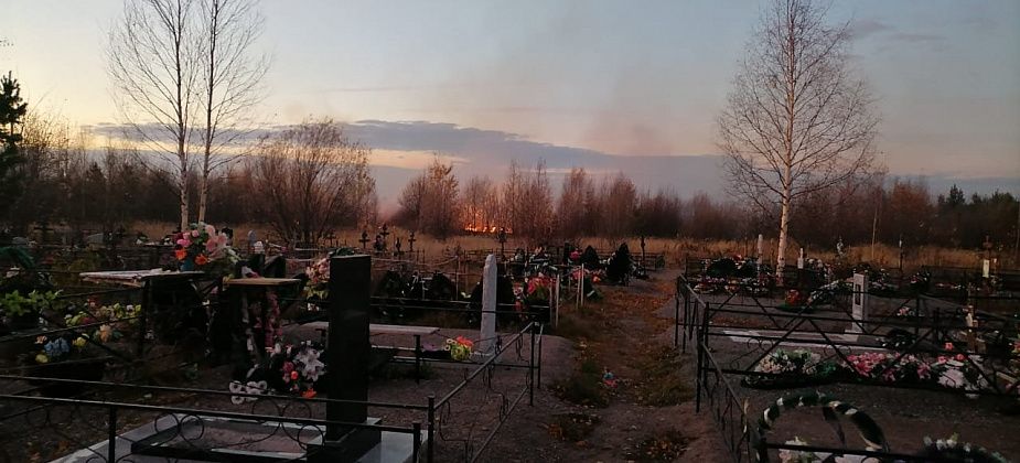 «Огонь подходит к могилам». Между Новой Колой и филькинским кладбищем горит поле