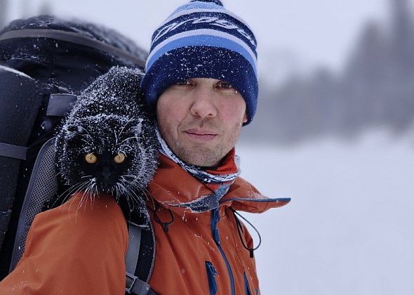 На высоте кошачьих возможностей: работник БАЗа ходит в горы с кошкой