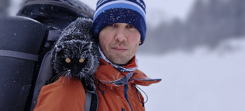 На высоте кошачьих возможностей: работник БАЗа ходит в горы с кошкой