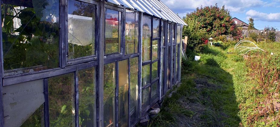 Штрафы за неиспользуемые дачные участки и за постройки не по назначению пропишут в КоАП