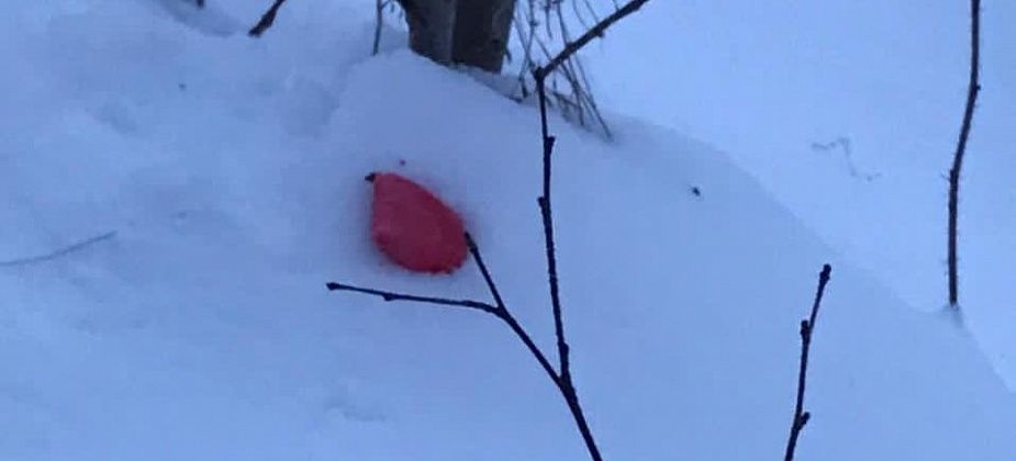 Под суд пошел житель Нижнего Тагила, который делал наркозакладки в Серове