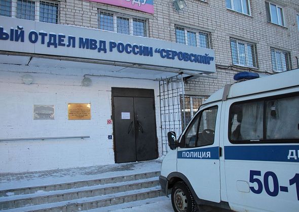 Серовчанина будут судить за 17 эпизодов краж и грабежей из магазинов