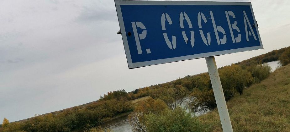 «Вода подозрительная – мертво-прозрачная». Серовский рыбак обратился в Росприроднадзор из-за исчезновения рыбы в Сосьве