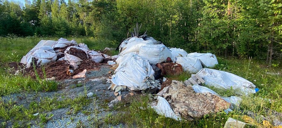 Свалку на Поляне любви под Серовом прибрали. Пока частично