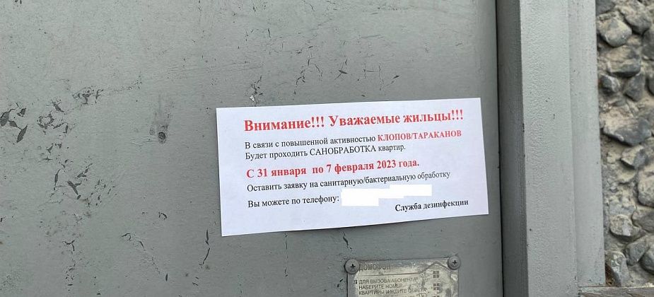 Серовчанам предлагают избавиться от насекомых в квартирах. Стоит ли верить объявлениям?