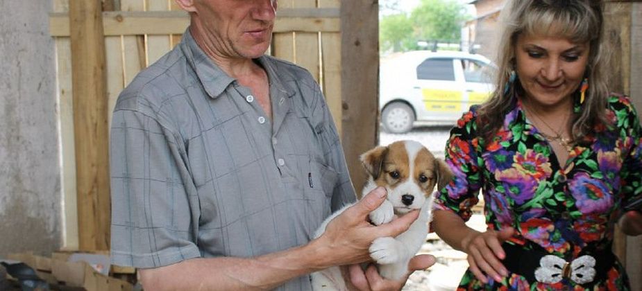 "Не могу больше тянуть это одна". Серовский зоозащитник Инна Обухова готова закрыть приют для бездомных животных "Дом Добра"?