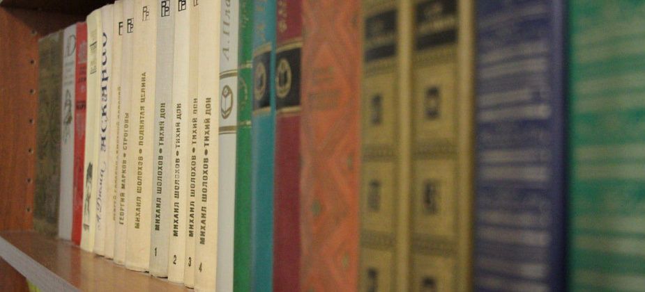 14 февраля в библиотеке Красноярки отметят день книгодарения вместе с детской писательницей Диной Артемкиной