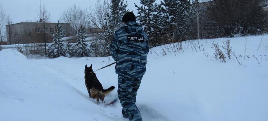 В Серове служебно-розыскная собака Домината помогла задержать подозреваемого в краже