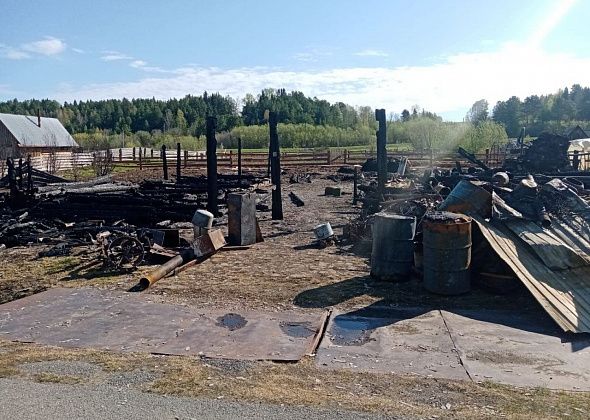 "Осталось только пепелище". Пенсионерке из Маслова, которая лишилась дома, нужна помощь