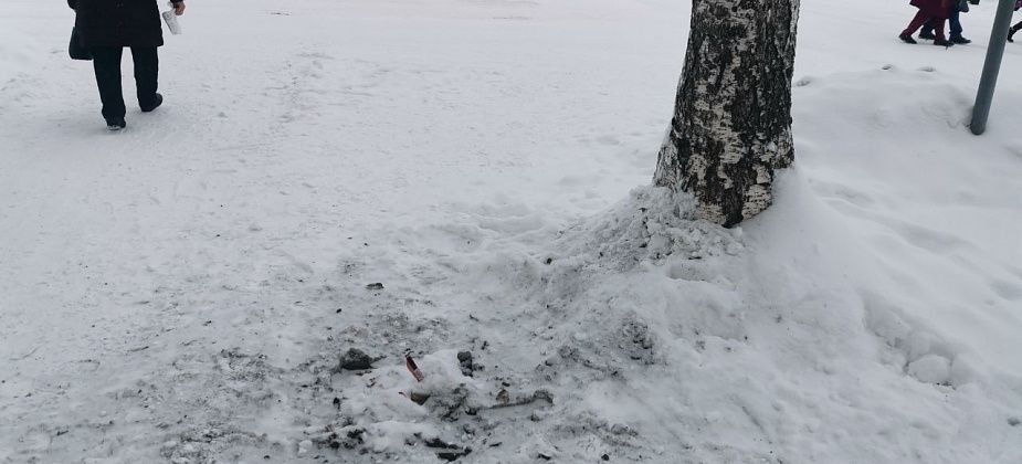 Серовчан просят не использовать урны вместо контейнеров и не выкидывать туда пакеты с мусором из дома