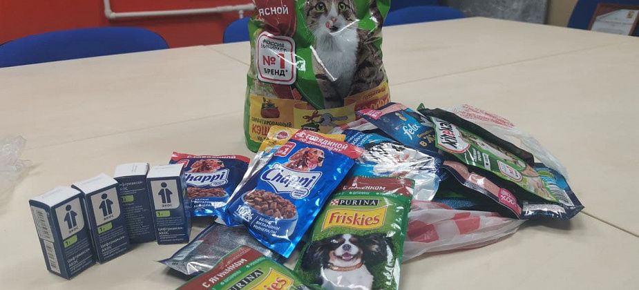 «Жалко мне их...» Серовчане продолжают приносить помощь бездомным животным