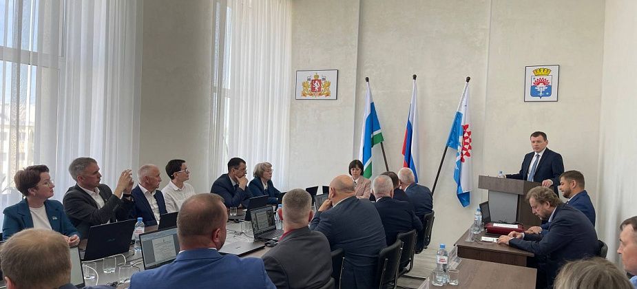 Презентация проектов и самоотвод в голосовании. Рассказываем, как депутаты главу выбирали