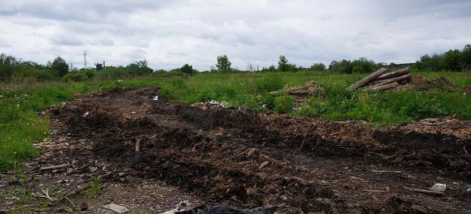 Когда все будет?