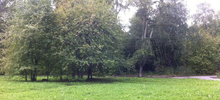 Дума Серова планирует передать в собственность области недвижимость в Больничном городке