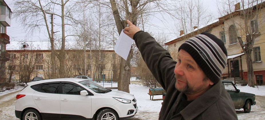 А тополя и ныне там. Серовчане не могут добиться обрезки опасных деревьев... с 2018 года