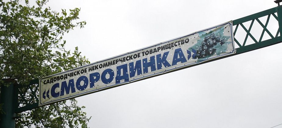 Председатель Думы Серова написал главе города о мерах, которые нужно принять в ответ на обращение садоводов