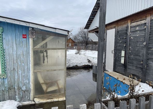 Проблему с затоплением коллективного сада “Смородинка” решили за три дня