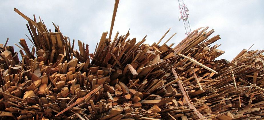 «Это – не мое». Серовского предпринимателя через суд обязали убрать отходы лесопиления на соседнем с ним участке