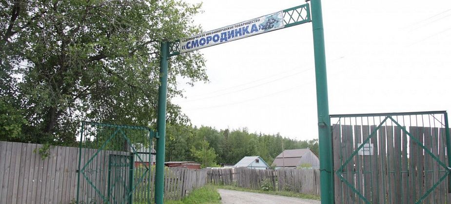 Власти Серова не оказывают поддержку садоводам. Но по закону могут это делать