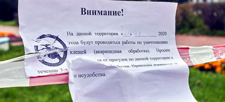 В 2020 году 698 серовчан «подцепили» клещей 