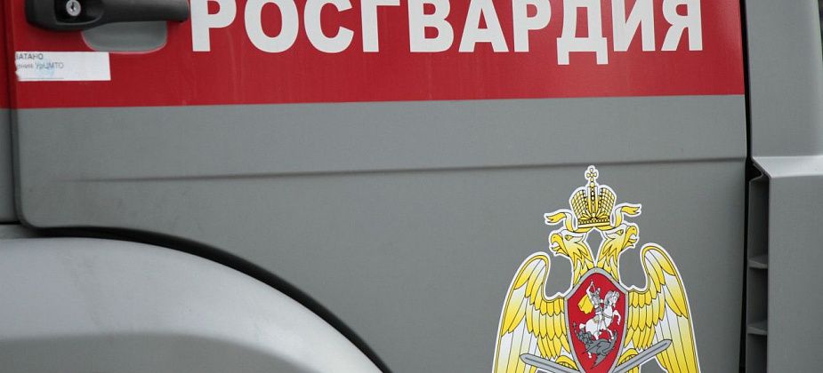Серовчанин пытался украсть из магазина алкоголь, а когда не вышло - обматерил Росгвардейца. Теперь его будут судить