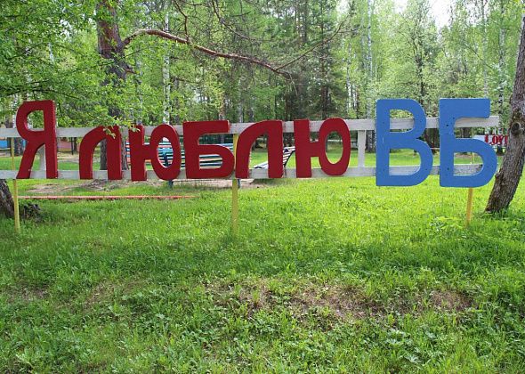 Опыт работы «Веселого бора» с детьми с ОВЗ в пример привел уполномоченный по правам ребенка в области