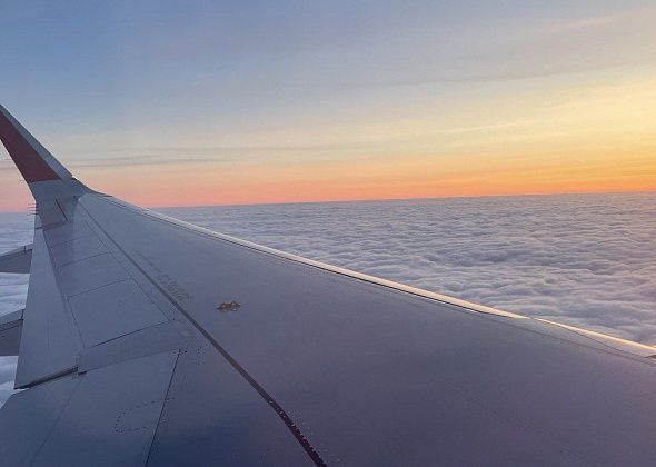 Свердловчане от 25 до 34 лет стали чаще обращаться к ИИ-планировщикам путешествий