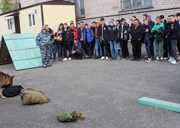 Правоохранители провели для студентов техникума в Серове урок правовой грамотности