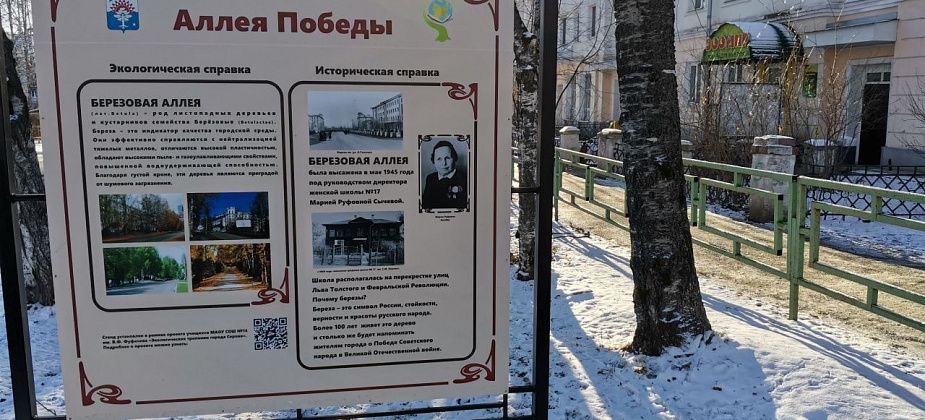 В Серове установили стенд, посвященный березовой аллее