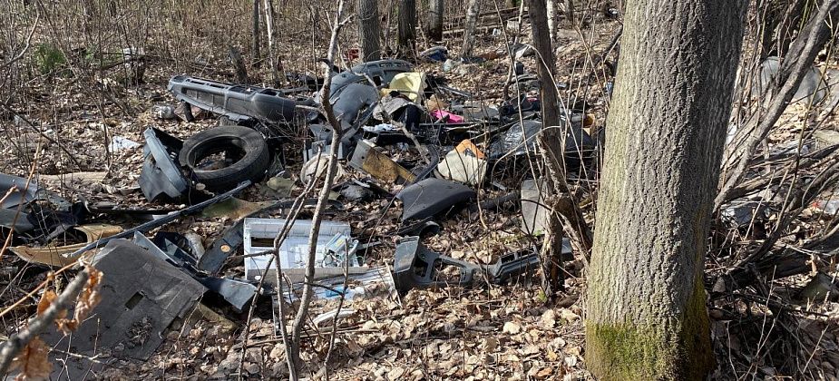 У гаражей на окраине Серова устроили свалку