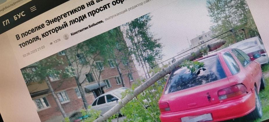 Глава Серова настаивает, что обрезкой опасных тополей в поселке Энергетиков должны заниматься люди