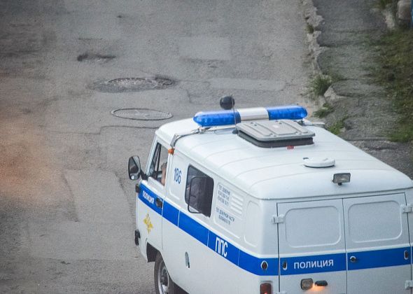 Суд вынес приговор серовскому предпринимателю, устроившему наркооранжерею в Краснотурьинске 