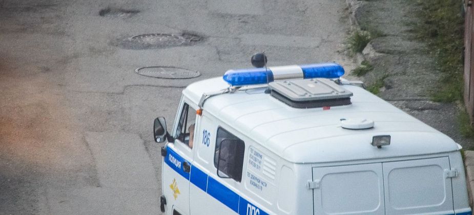 Суд вынес приговор серовскому предпринимателю, устроившему наркооранжерею в Краснотурьинске 