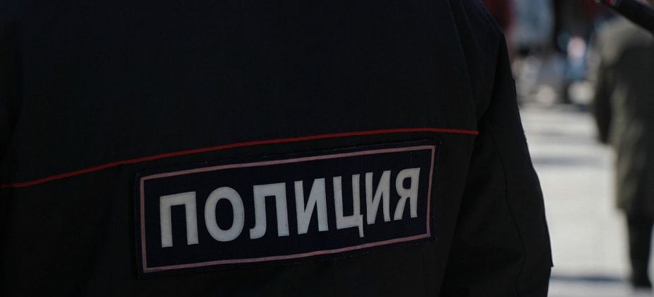 На серовчанку с собакой накинулся пьяный мужчина. Полиция проводит проверку