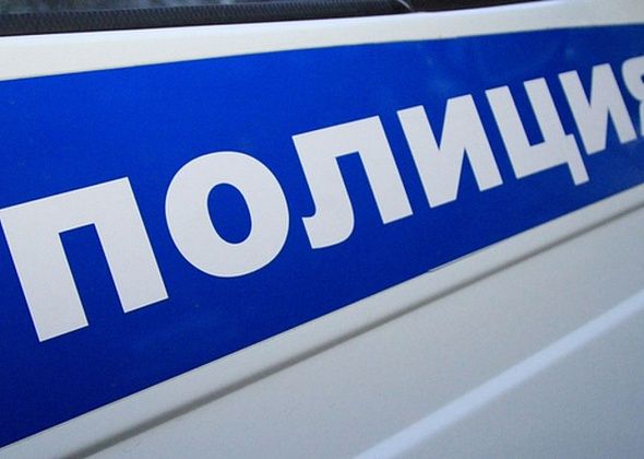 Под суд пошел серовчанин, который пытался вынести из магазина продукты и алкоголь