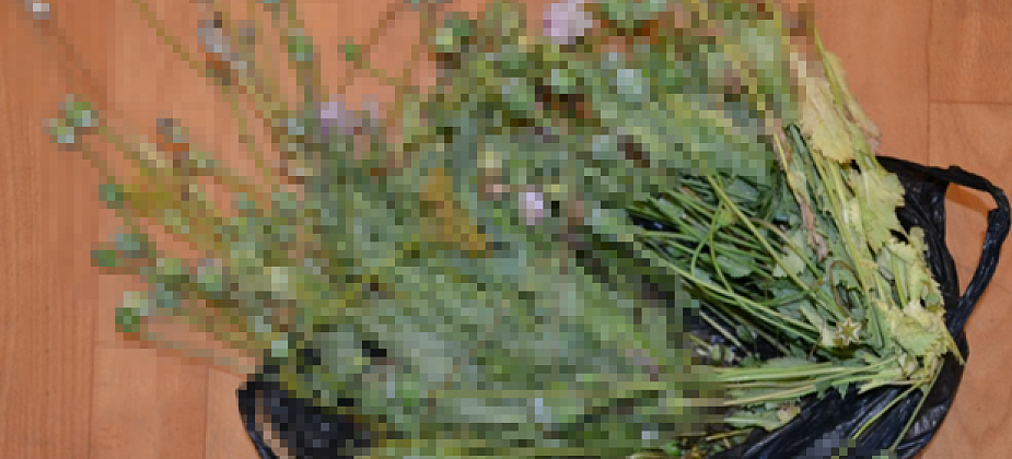 Под суд пошел серовчанин, которого задержали с пакетом мака