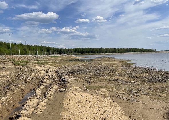 Минприроды рассмотрело обращение по поводу гибели икры на водохранилище в Серове