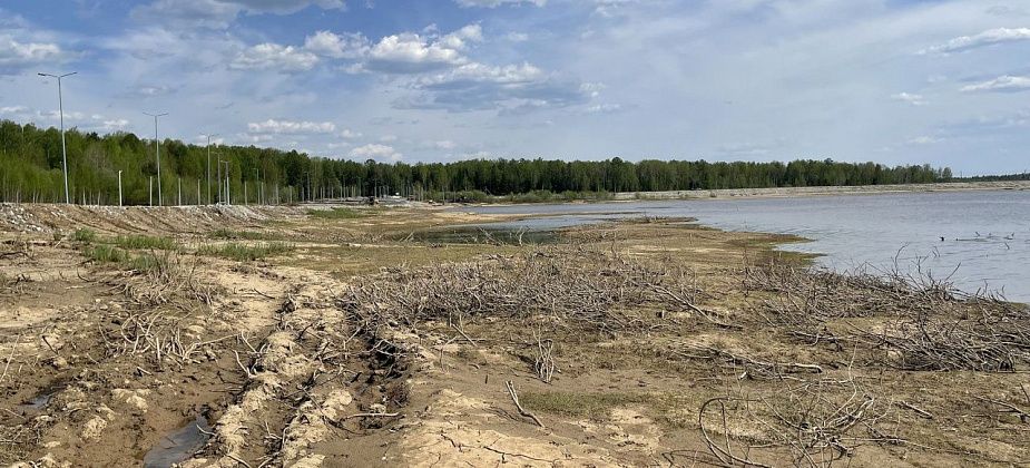 Минприроды рассмотрело обращение по поводу гибели икры на водохранилище в Серове