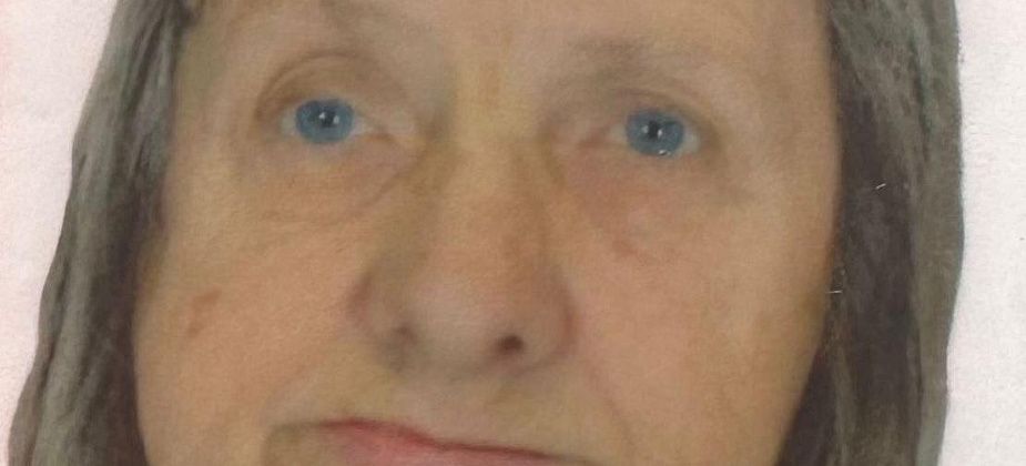Полиция объявила в розыск пропавшую без вести серовчанку Нину Гуз
