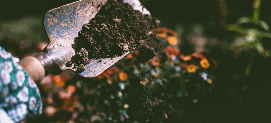 Полезное садоводам: какие работы выполняем в мае?