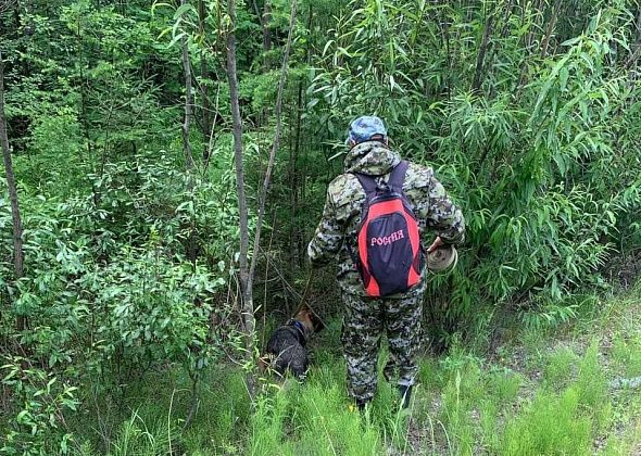 "Криминала не обнаружено". Следственный комитет завершил проверку по факту обнаружения тела серовчанки, которая потерялась в лесу