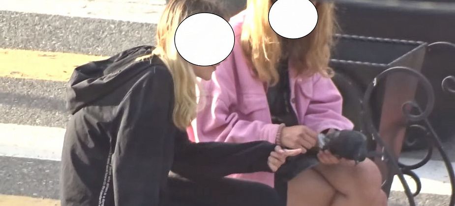 Родителей серовских школьниц, которых "прославило" видео с ощипанным голубем, привлекли к ответственности