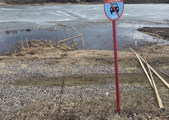Серовчане пожаловались на захламленный горбылем городской пруд
